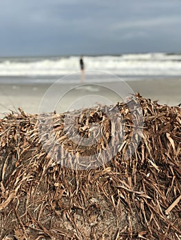 A view of the Space Coast in Melbourne, Florida - FLORIDA - ATLANTIC OCEAN