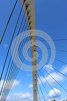 View of the span of the bridge in summer.