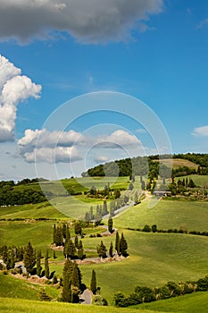 view of a spring day in the Italian rural landscape.