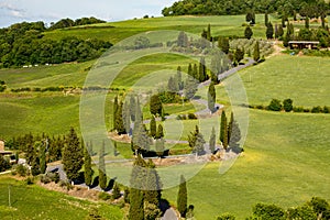 View of a spring day in the Italian rural landscape.