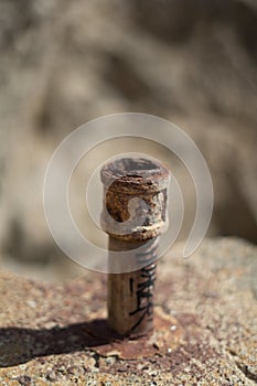 A pipe in Lands End, San Francisco photo