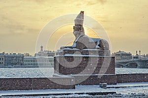 A view of the Spxinx at the University embankment in the snowstorm.