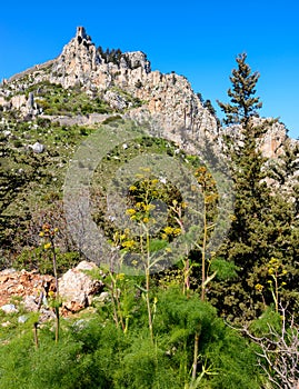 View of St. Hilarion castle near Kyrenia 3