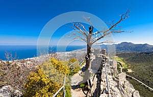 View from St. Hilarion castle near Kyrenia 5