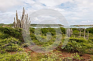 View of the St. Joris Bay in Curacao