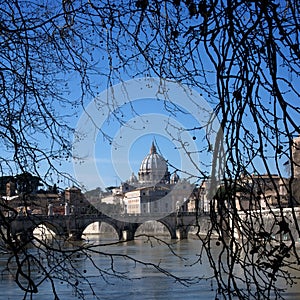 View of St Peter Basilica through winter Trees
