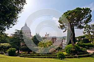 View at the St Peter's Basillica