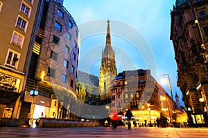 View of St Stephen`s Cathedral in Vienna, Austria in the evening