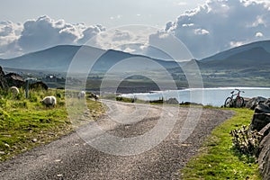 A view of Staffin island and Staffin harbour. Garrafad bay and An Corran Beach.  Seaweed on the beach.  A road along the bay