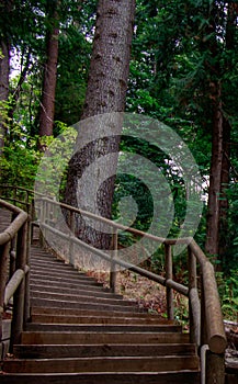 View of stairs leading to Wreck Beach