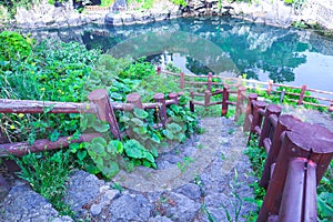 View on stairs with wooden fence and nature vegetation