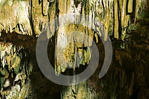 view of stalactites in Rangko Cave West Manggarai photo