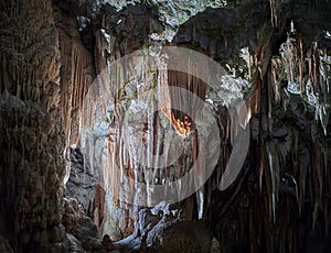 View of stalactites and stalagmites in an underground cavern - Postojna cave in Slovenia