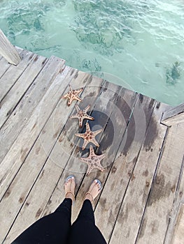 The view of the starfish under my feet was really beautiful and nice