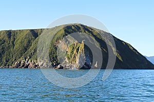 View of Starichkov island by the Kamchatka Peninsula, Russia.