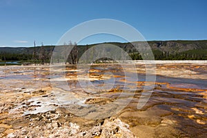 A view of steam rising from the caldera at yellowstone park