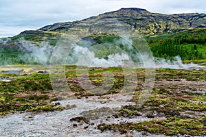 View of steaming fumarole in the field at Haukadalur geothermal area