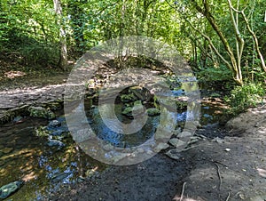 A view of stepping stones across a stream in Grace Dieu Wood in Leicestershire, UK