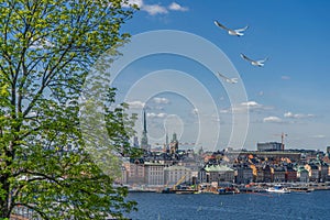 View of Stockholm from Sodermalm district. Panorama of the old town