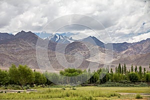 View of Stok Kangri from the river Indus floodplain, Thiksay