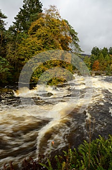 View of Stone Bridge