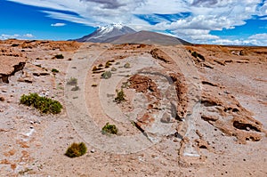 View of the stone field and the volcano Ollague, Bolivia. Chile border