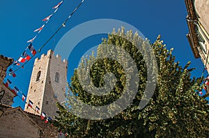 View of stone steeple tower next to church and tree in Vence.