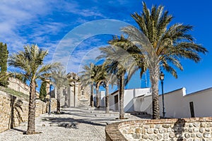 View of a stone walkway with palm trees on each side