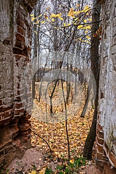 View from the stone window opening of the destroyed church on the autumn landscape