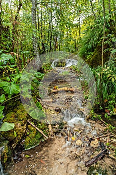 View of stony river with waterfall in forest thicket