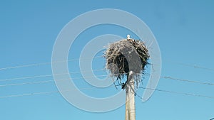 View of stork`s nest on utility pole near country house. Clear blue sky at background.