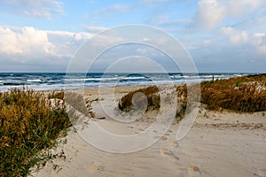 View of a stormy beach in the morning with lonely trees