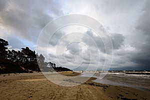 View of a stormy beach in the morning with lonely trees