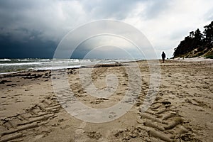 View of a stormy beach in the morning with lonely trees