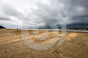 View of a stormy beach in the morning with lonely trees