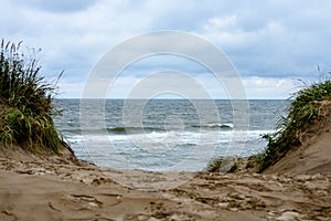 View of a stormy beach in the morning with lonely trees