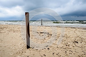 View of a stormy beach in the morning with lonely trees