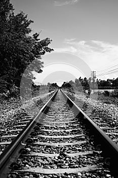 View of straight railway with tree at side of railway,black and white color picture style,selective focus