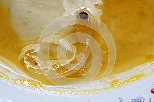 FOREIGN SUBSTANCE FOUND INSIDE A RAW CHICKEN EGG RESEMBLING A WORM photo