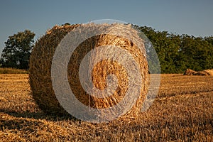 A view of straw bales in a field after the harvest