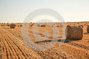A view of straw bales in a field after the harvest