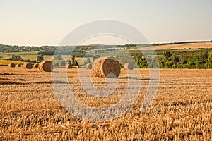 A view of straw bales in a field after the harvest