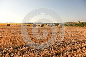 A view of straw bales in a field after the harvest