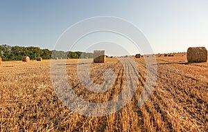 A view of straw bales in a field after the harvest