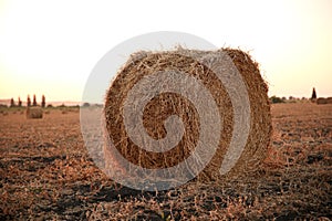 A view of straw bales in a field after the harvest