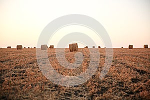 A view of straw bales in a field after the harvest