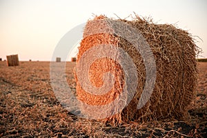 A view of straw bales in a field after the harvest