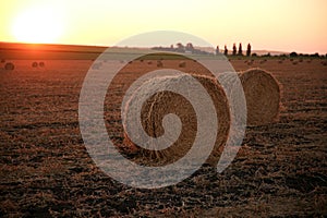 A view of straw bales in a field after the harvest