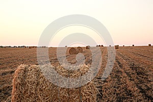 A view of straw bales in a field after the harvest