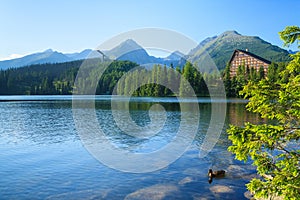 View of the Strbske Pleso and mountains.